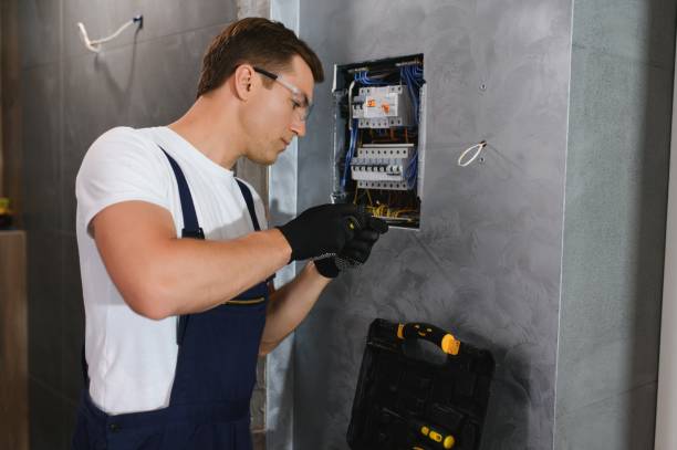 Best Electric Panel Repair  in Dorr, MI
