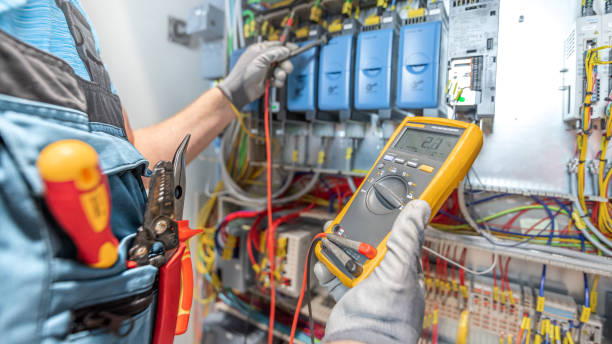 Best Electric Panel Repair  in Dorr, MI